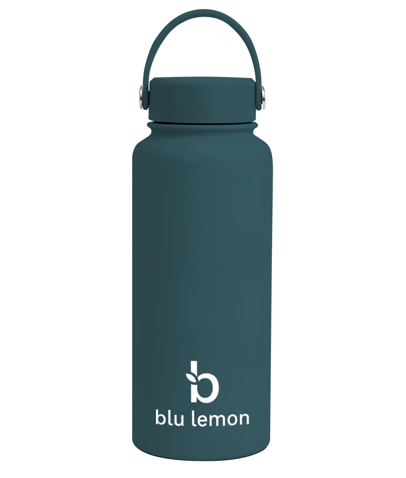 Blu Lemon Insulated Stainless Steel Bottle 1L